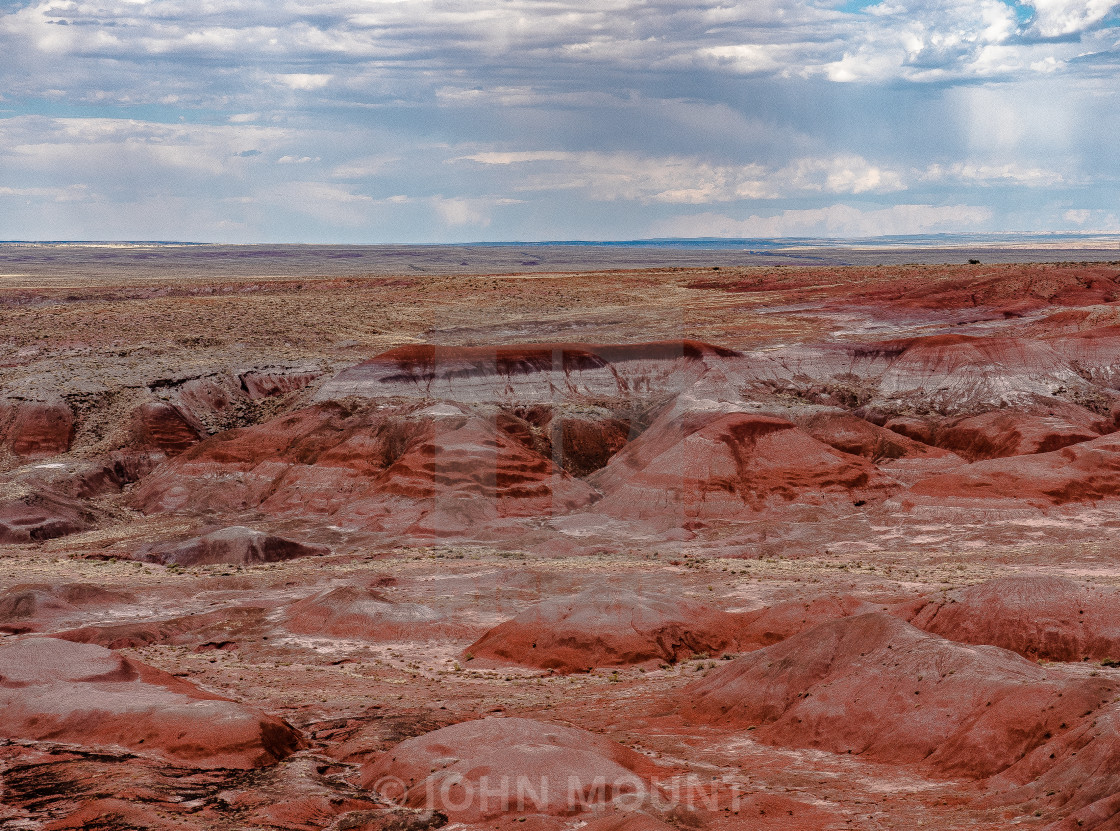 "Arizona Desert Landscape" stock image