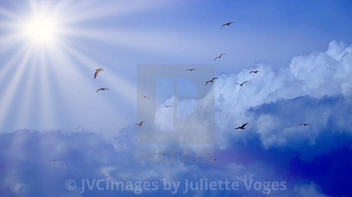 "Flying High" stock image