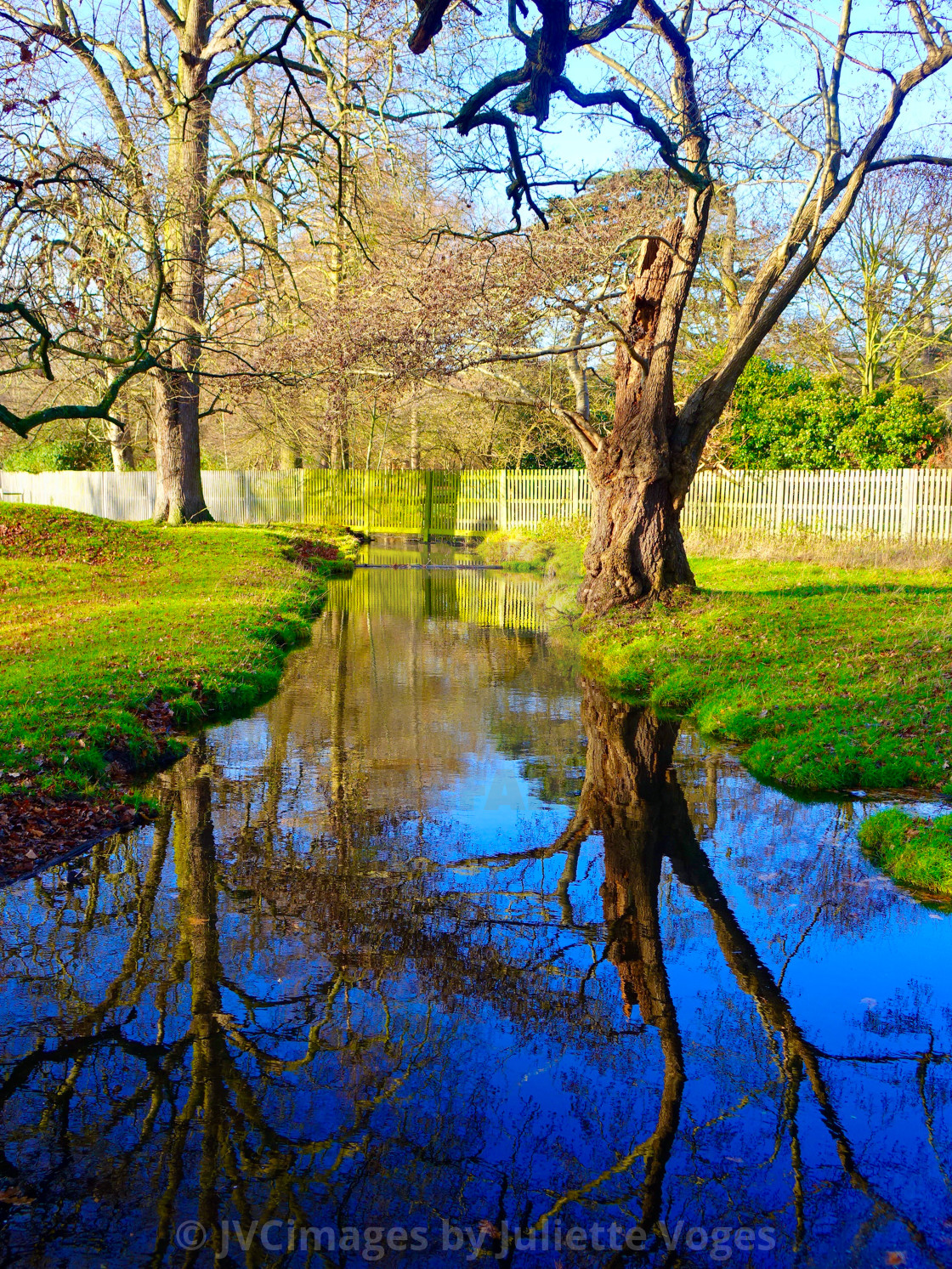 "Tree Reflection In Water" by JVCimages by Juliette Voges - £10.00 "Tree Reflection In Water" stock image