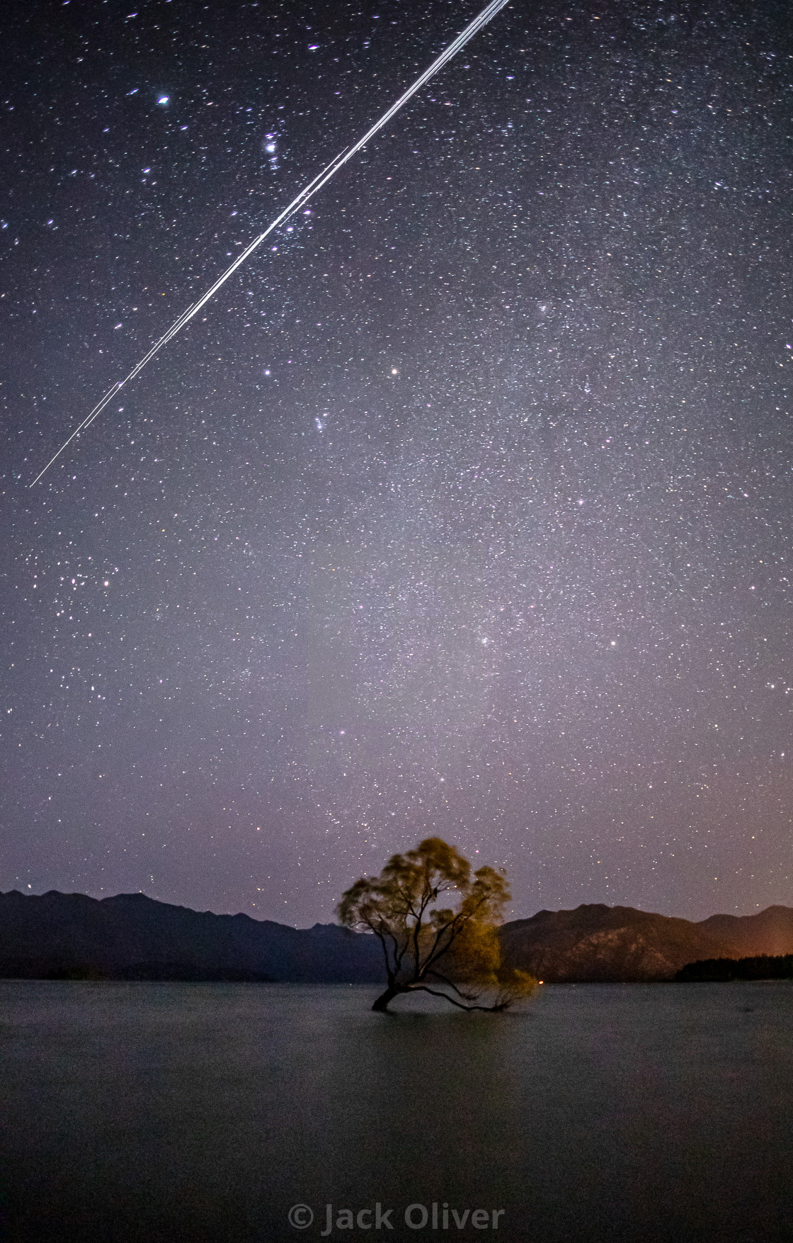 "Starlit Wanaka Tree" by Jack Oliver - £6.20 "Starlit Wanaka Tree" stock image