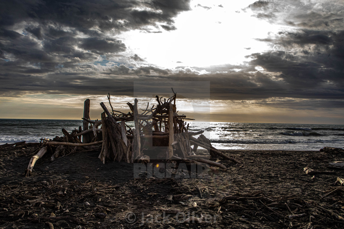 "Driftwood Beach" by Jack Oliver - £6.20 "Driftwood Beach" stock image