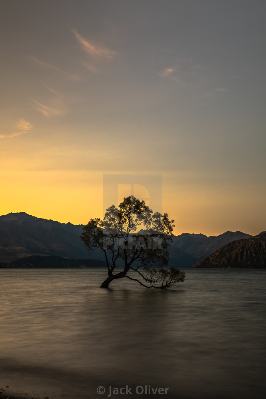 "The Wanaka Tree and the Golden Sunset" by Jack Oliver - £6.20 "The Wanaka Tree and the Golden Sunset" stock image