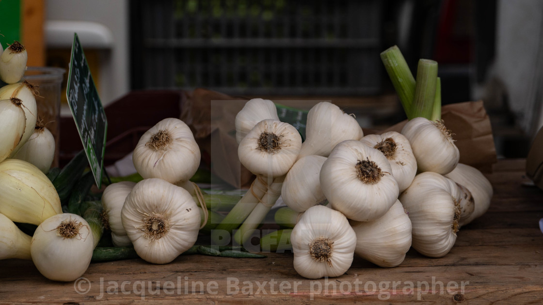 "Garlic" stock image