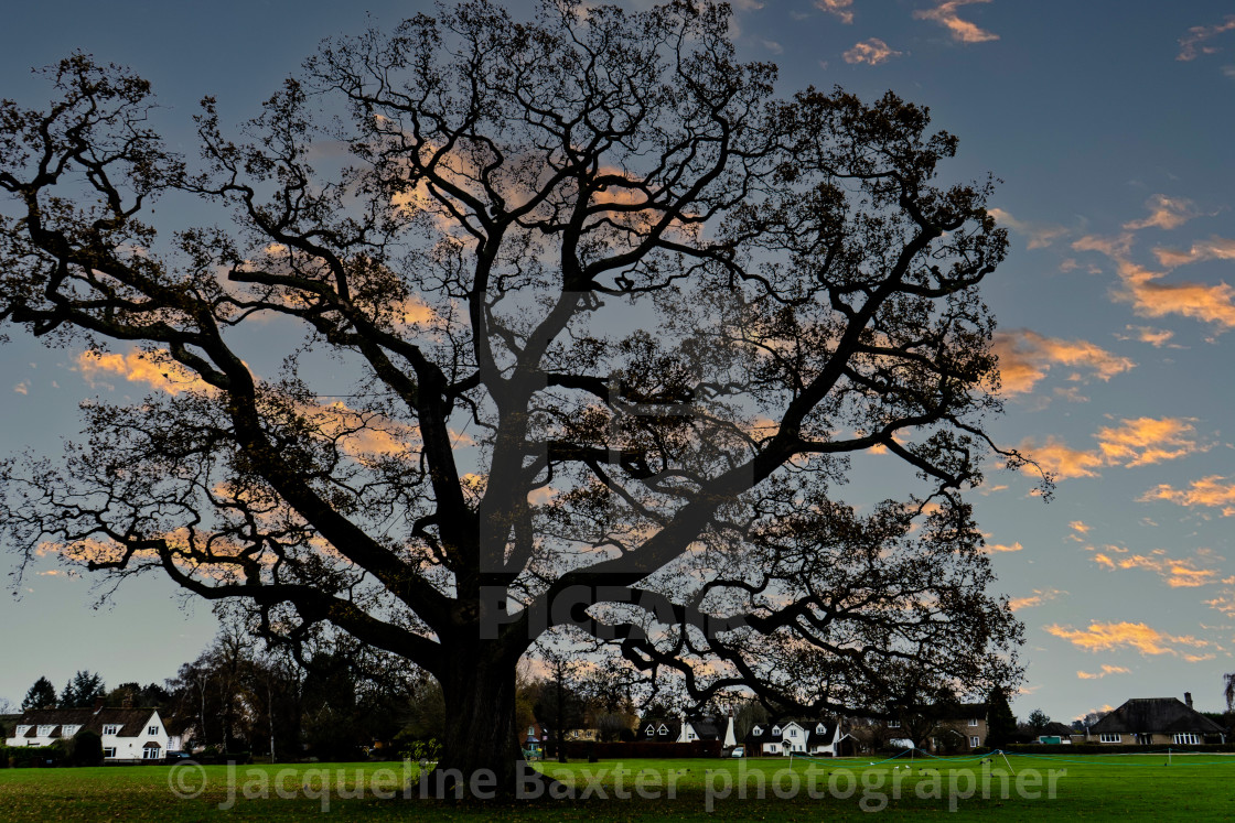 "Ickwell Green The Winter Solstice" stock image