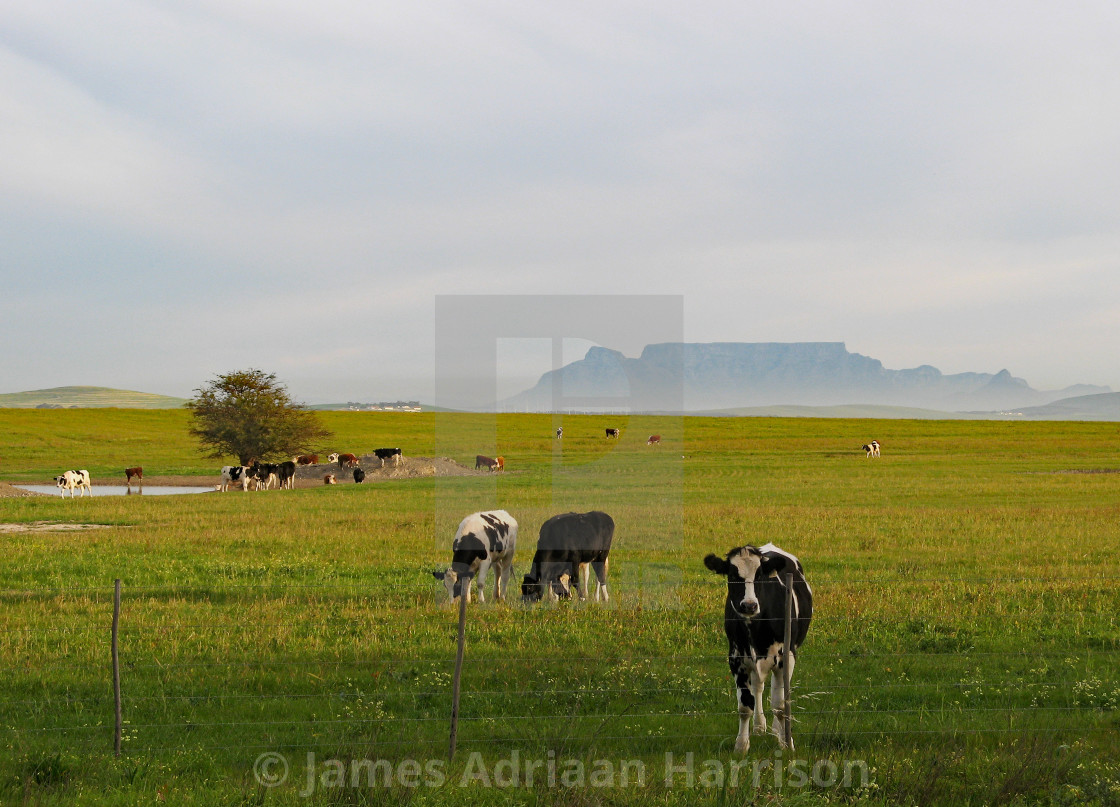 "Rural Cape Town" by James Adriaan Harrison - $14.91 "Rural Cape Town" stock image