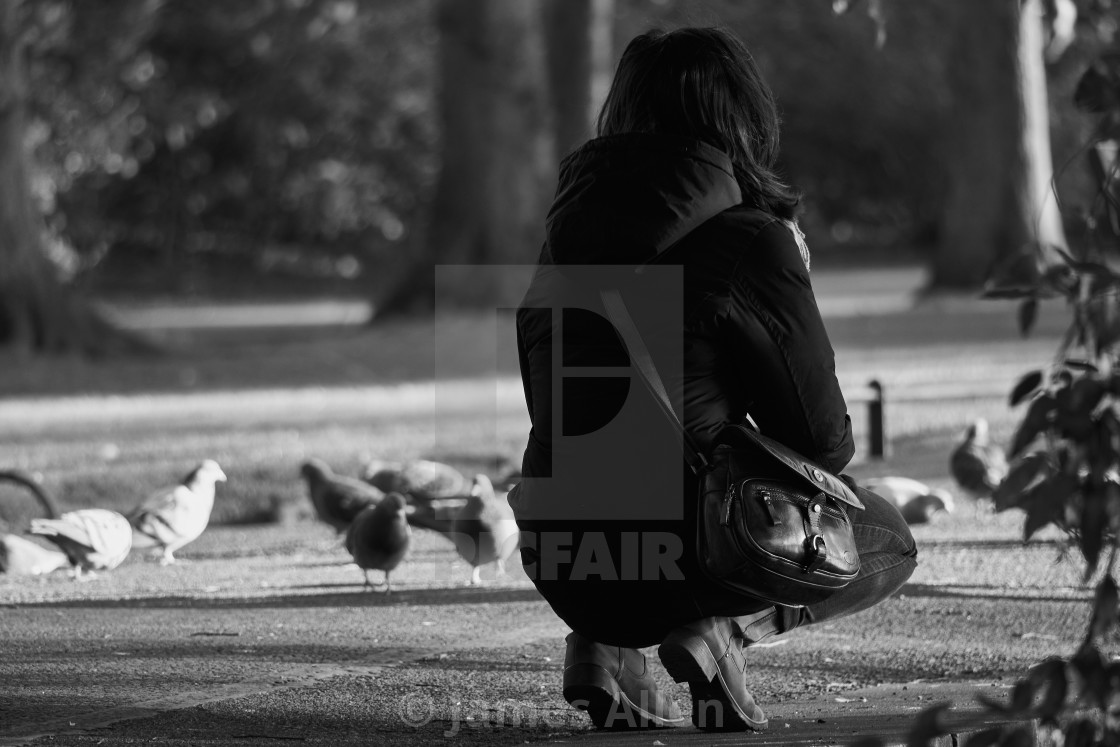 "Feeding the birds" stock image