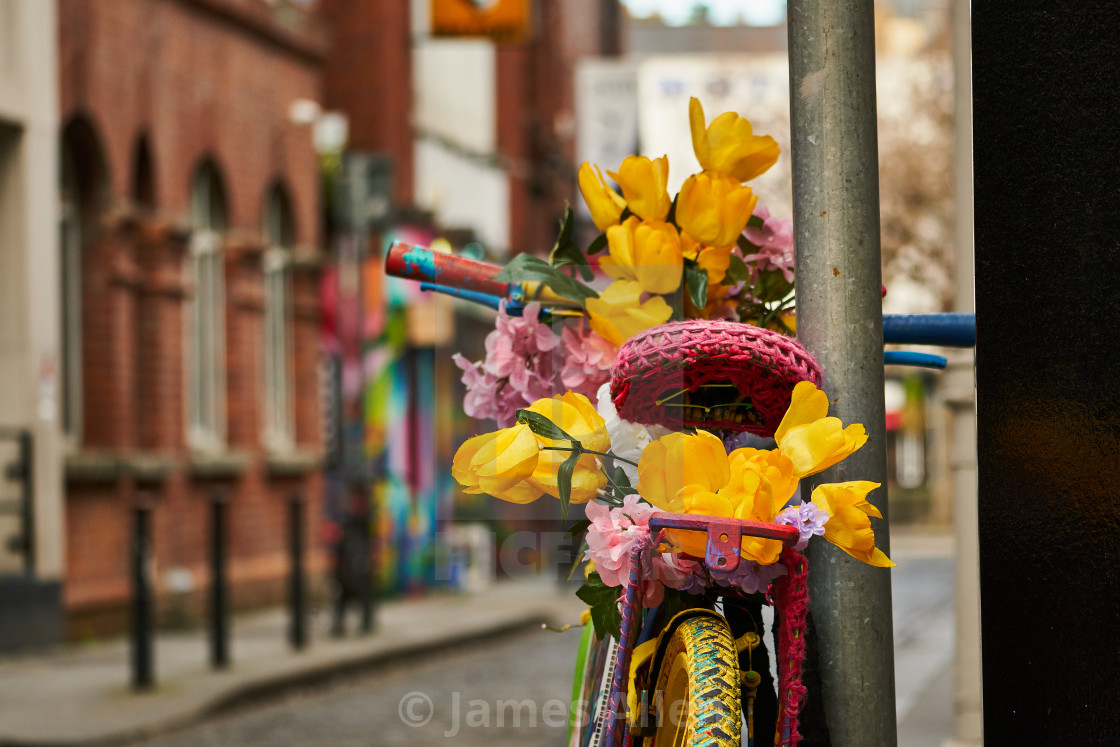 "Bicycle" stock image