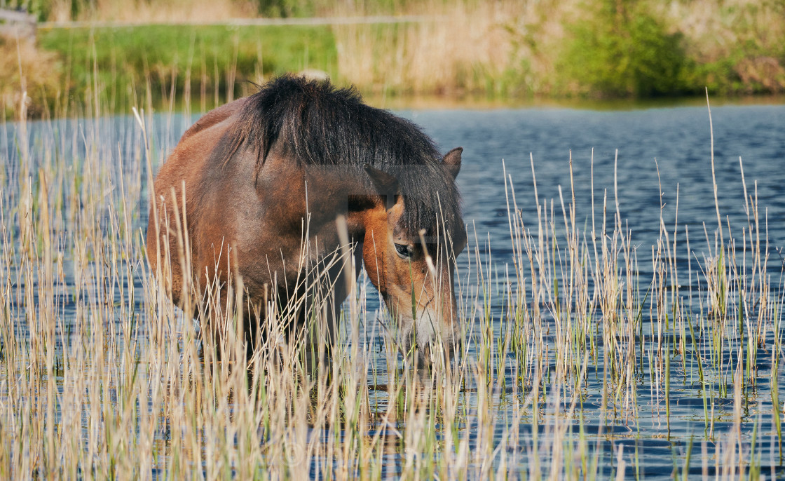 "Cooling down" stock image