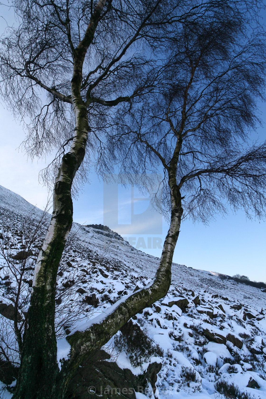 "Wimberry Edge" stock image