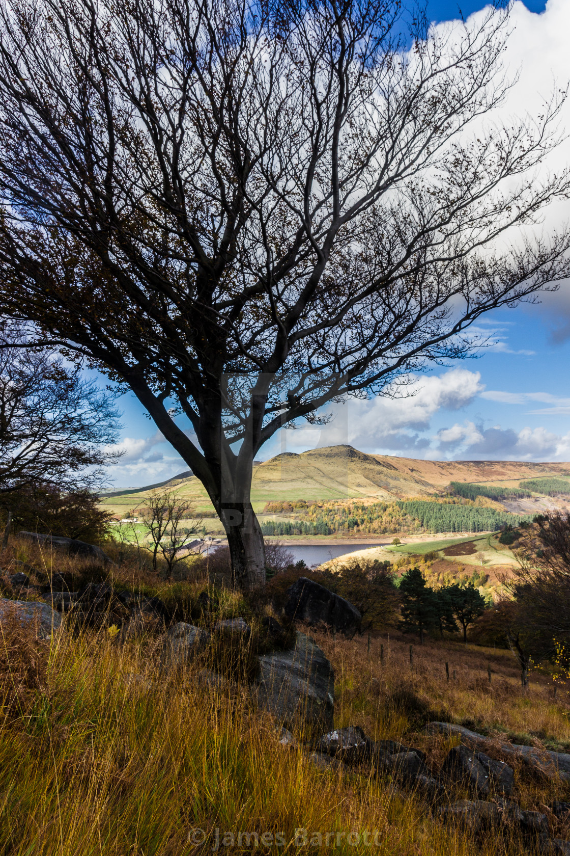 "Autumn in Chew Valley" stock image