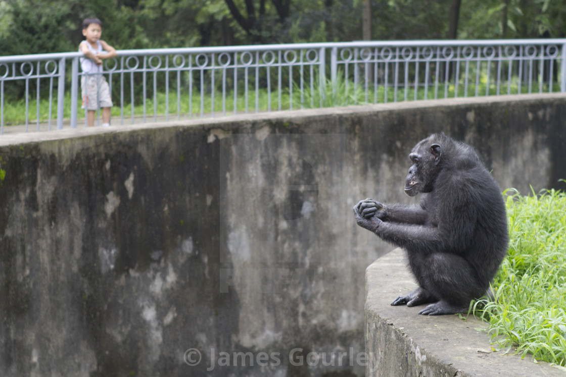 "Pyongyang Zoo" stock image