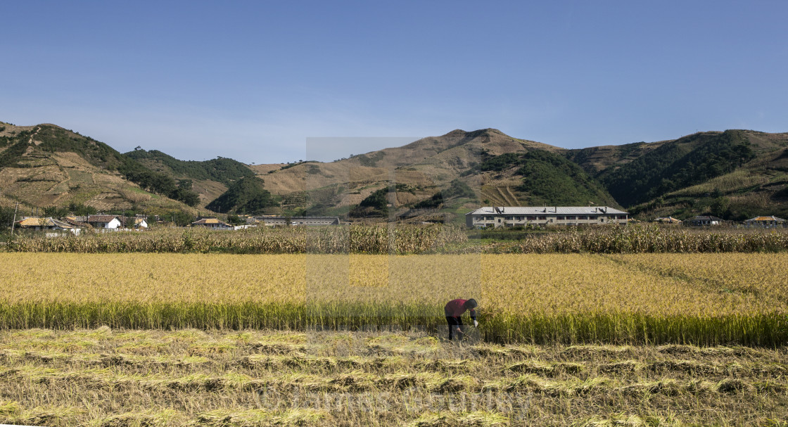 "North Korea" stock image