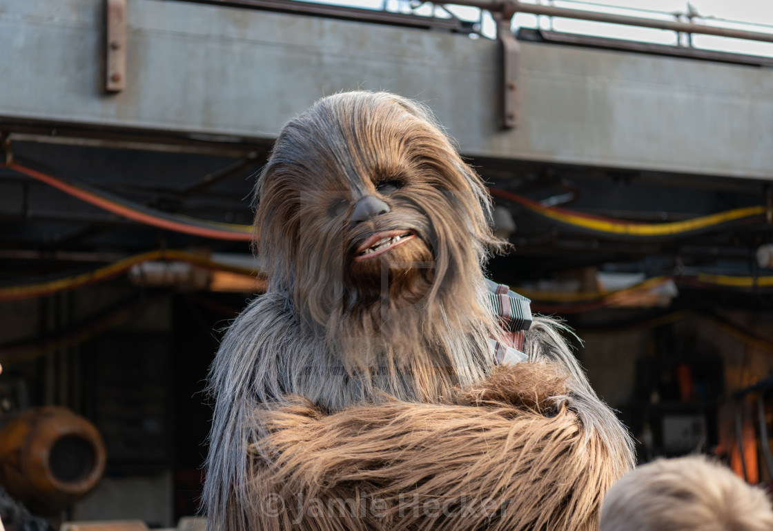 "It's Chewbacca!" stock image