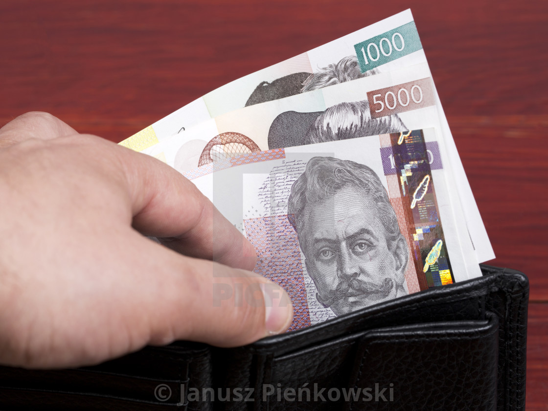 "Slovenian money - tolar in the black wallet" stock image