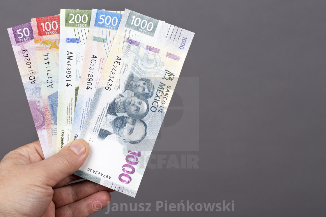 "Mexican money in the hand on a gray background" stock image