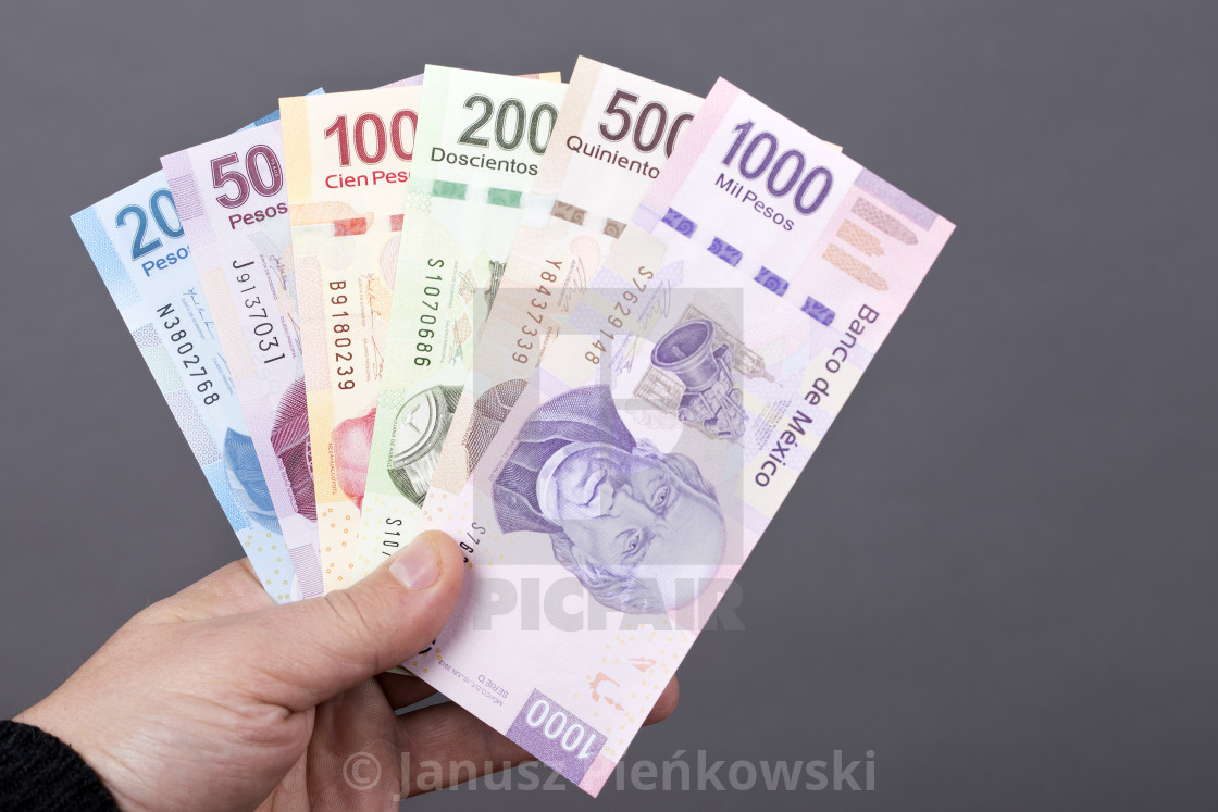 "Mexican money in the hand on a gray background" stock image