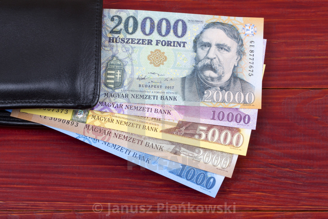 "Hungarian money in the black wallet" stock image