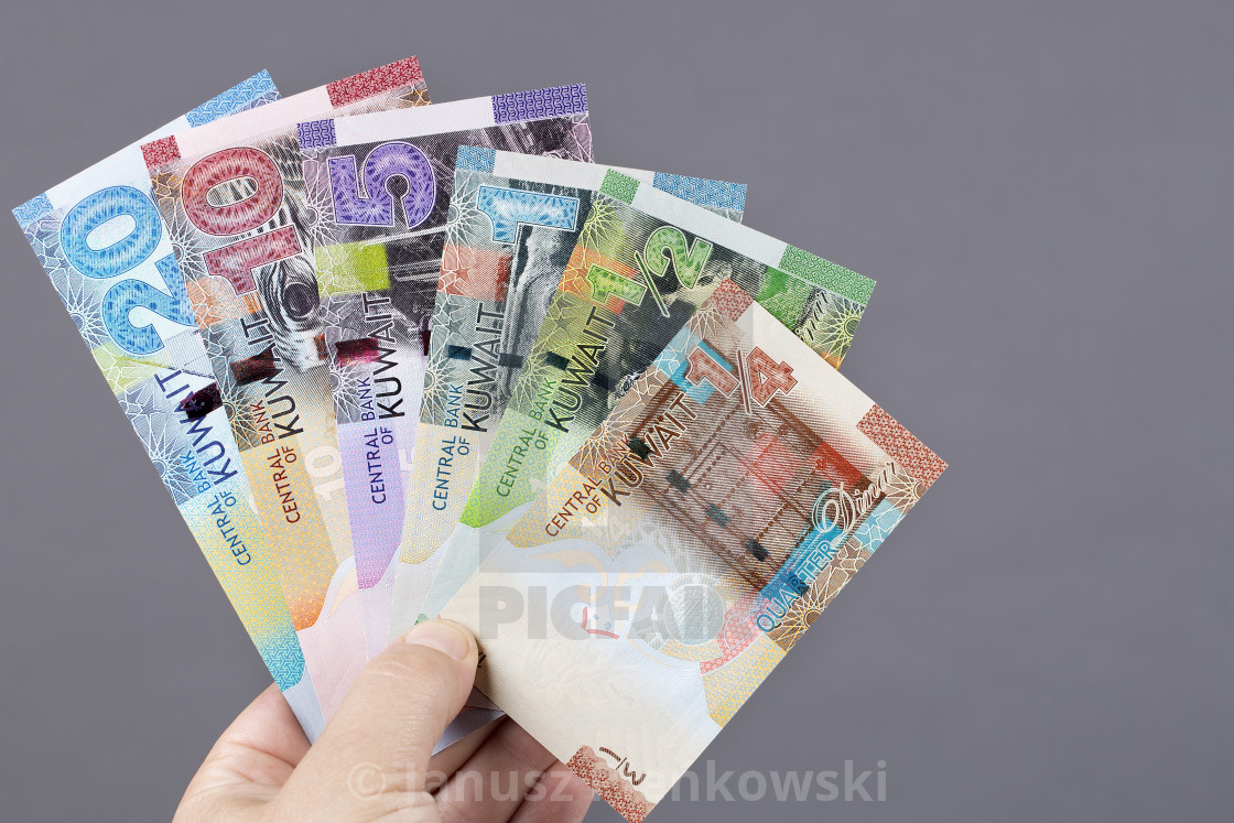 "Kuwaiti dinar in the hand on a gray background" stock image