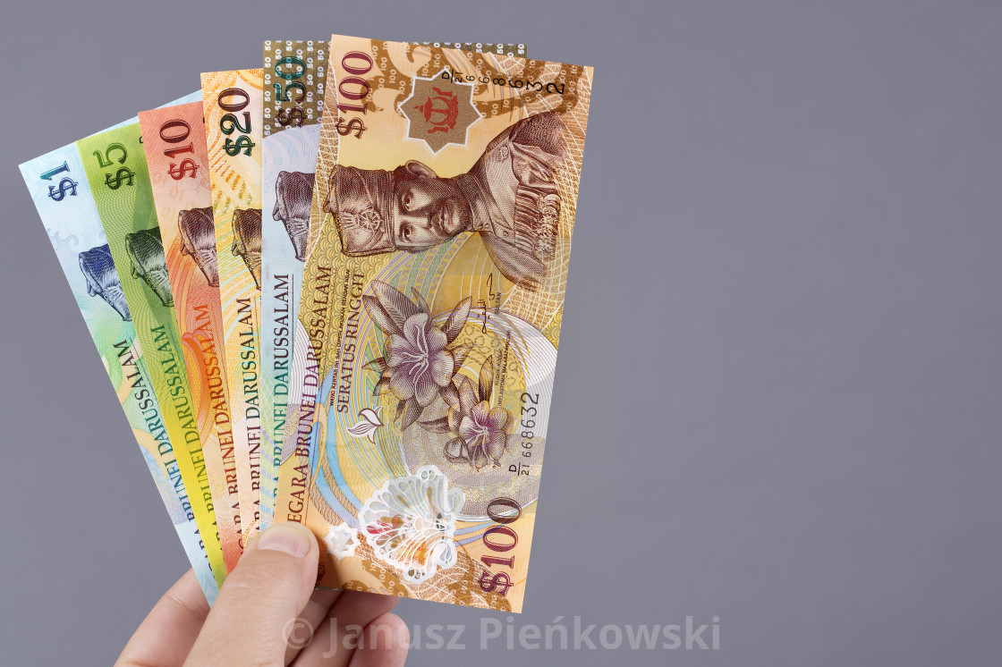 "Brunei money in the hand on a gray background" stock image