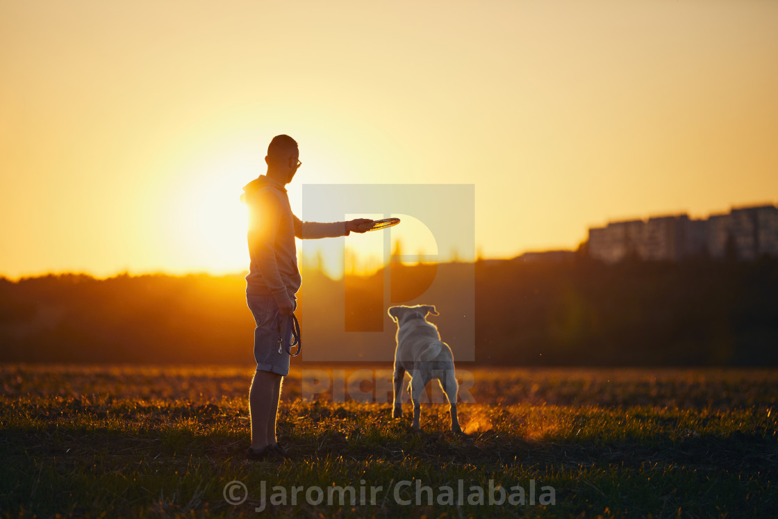 "Man throwing flying disc for his dog" stock image