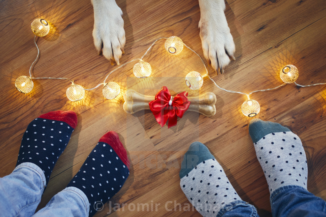 "Christmas celebration at home" stock image