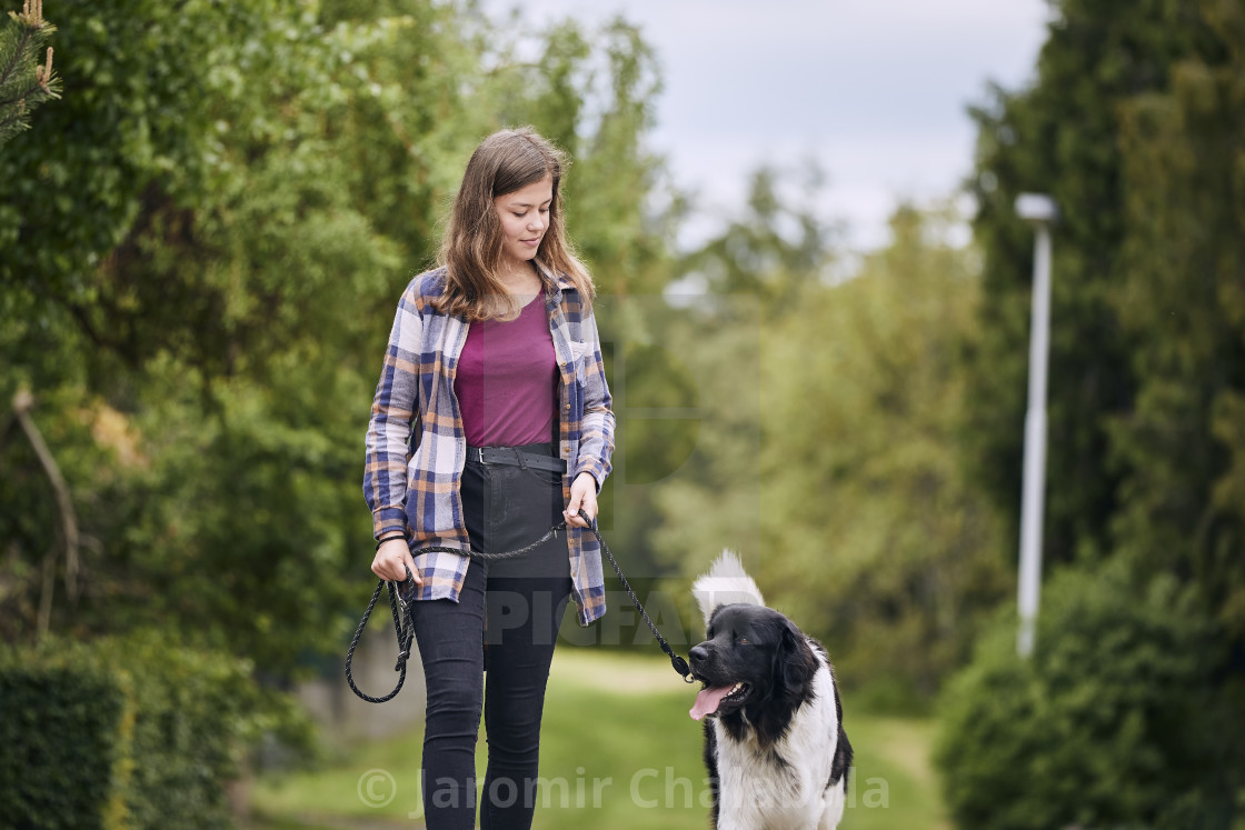 "Young girl walking with her dog on pet leash" stock image