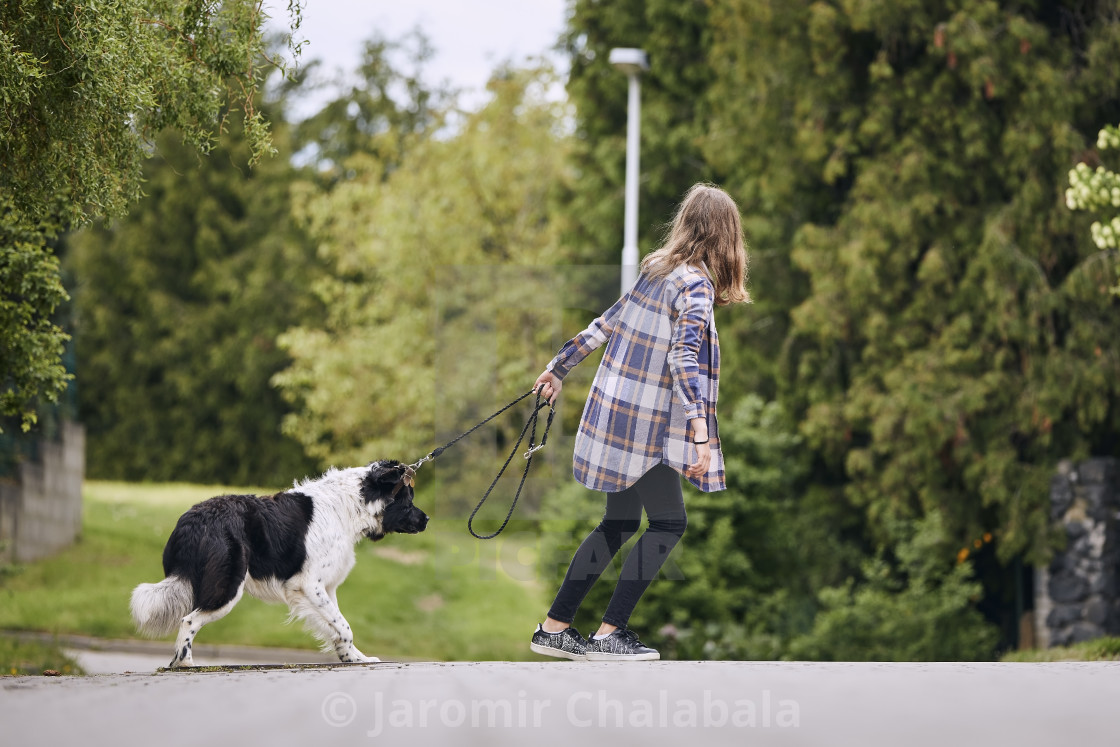 "Teenager girl pulling his stubborn dog" stock image