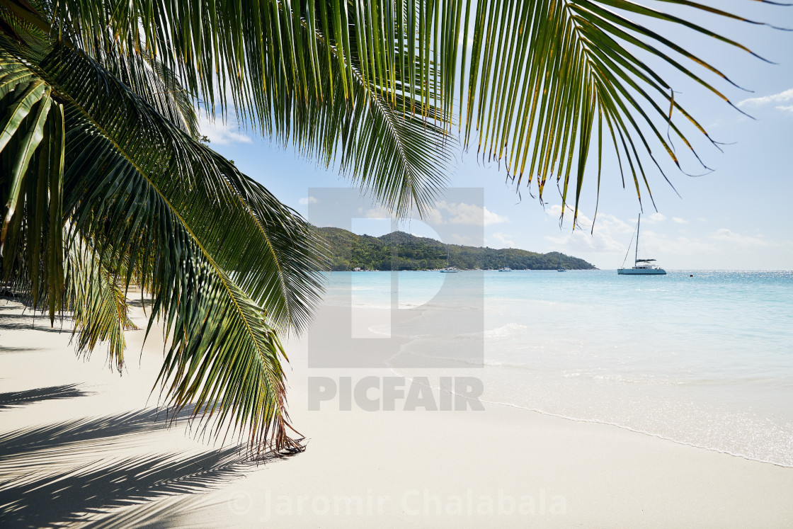 "Palm leaves on beautiful white sand beach" stock image