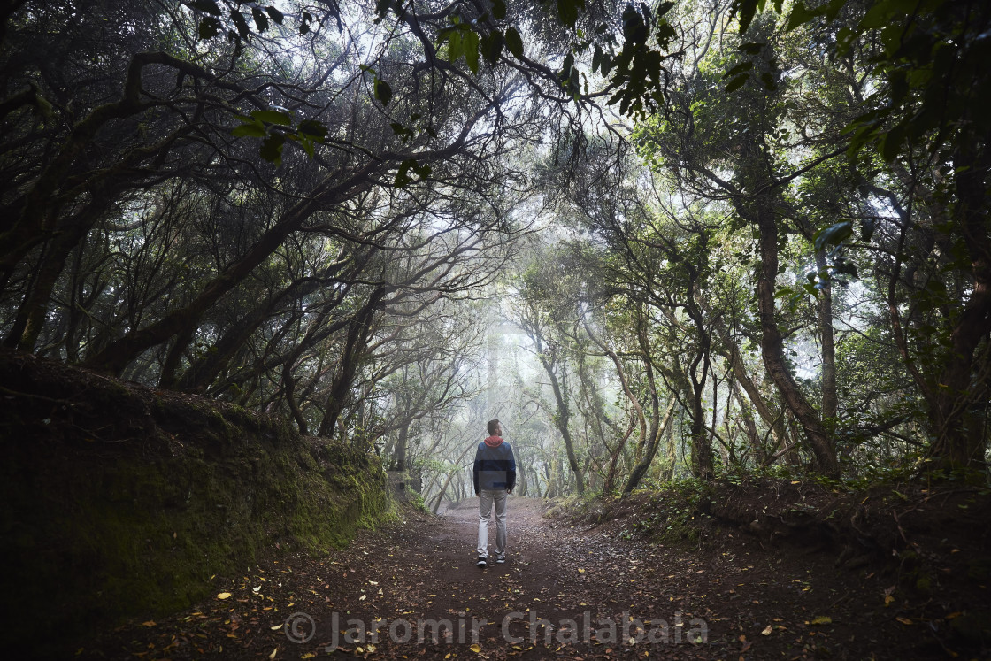 "Man on footpath in foggy forest" stock image