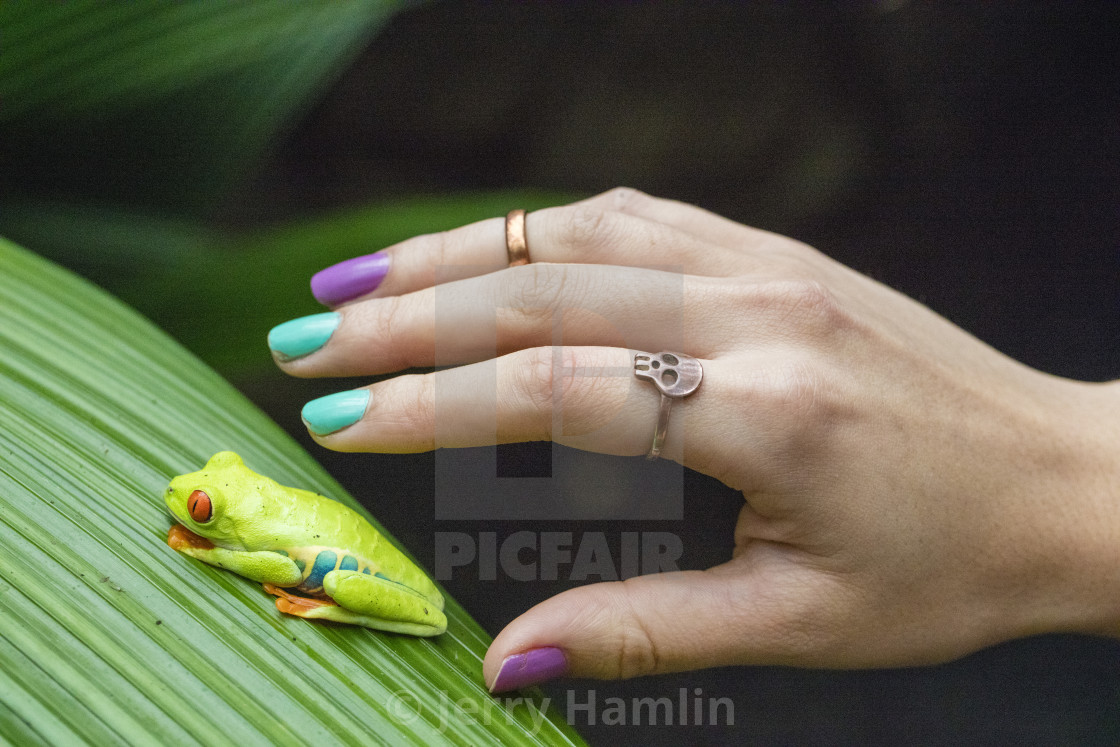 "The Hand of Life" stock image