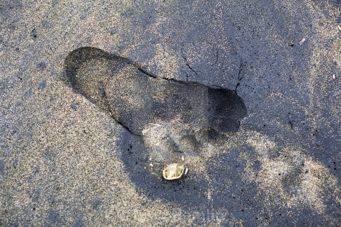 "Friday's Footprint with Beetle Nut husk" stock image