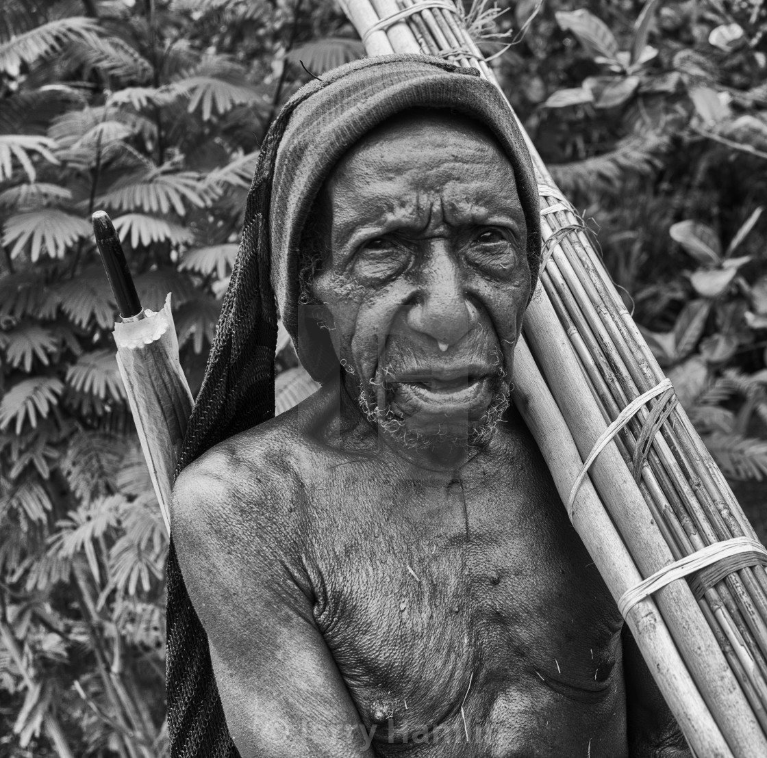 "Dane Tribesman in the Baliem Valley" stock image