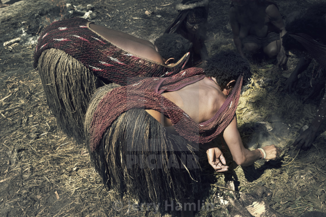 "Women cooking at a pig feast in Wamena" stock image