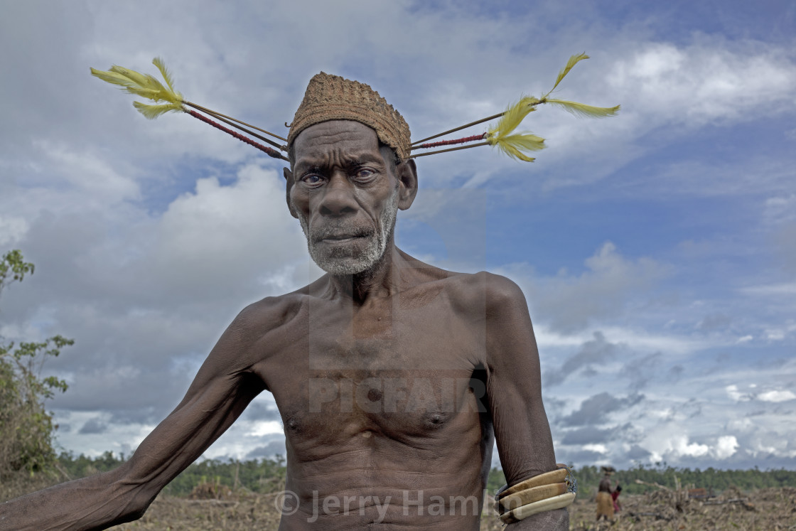 "Arrowhead: Asmat man with ceremonial headpiece." stock image