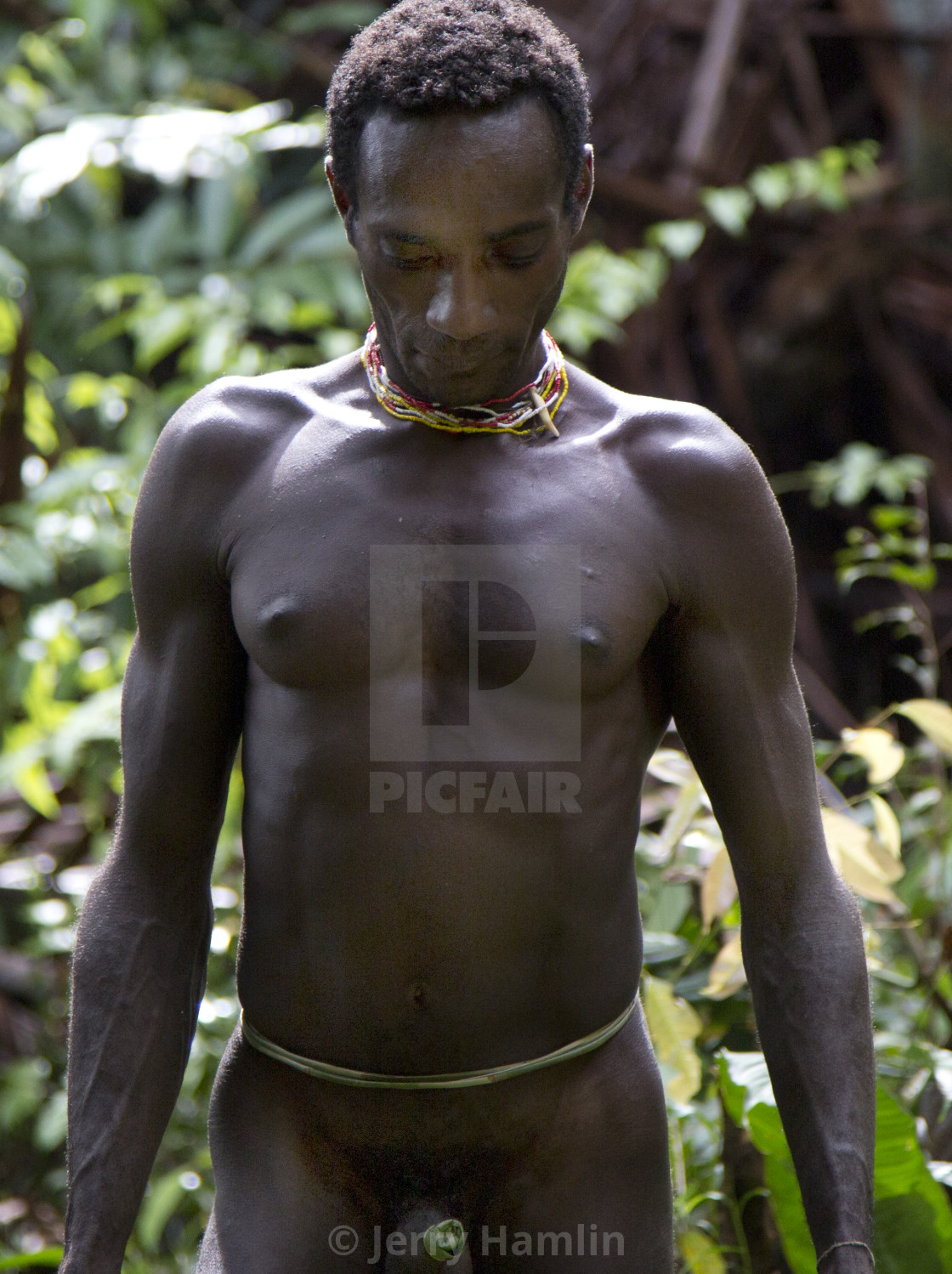 "Korowai Man" stock image