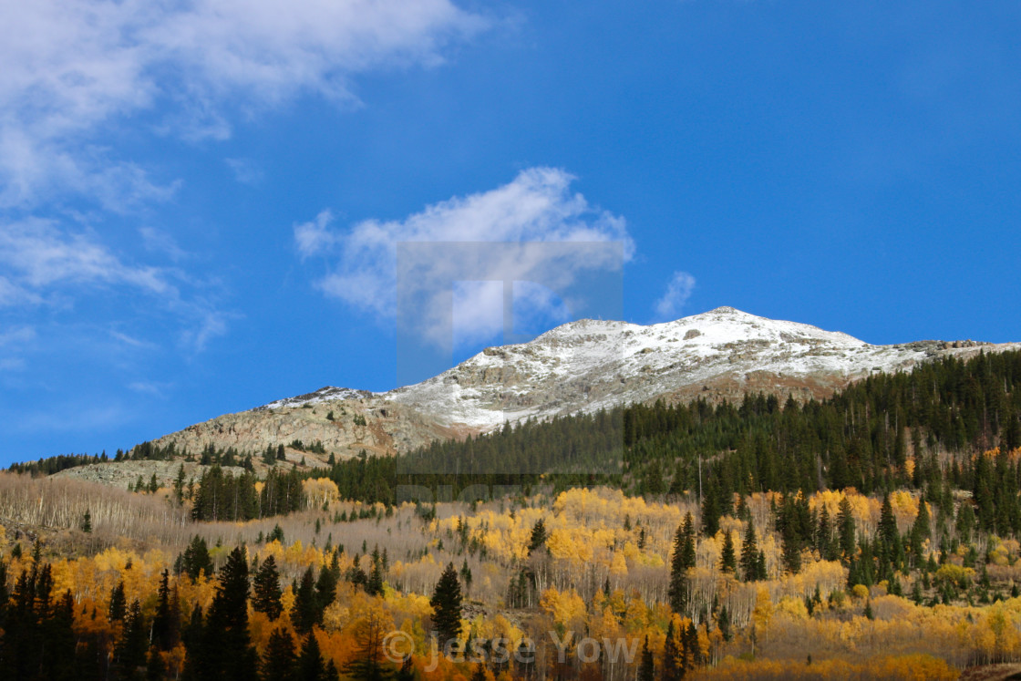 "Fall Colors in the San Juans" stock image