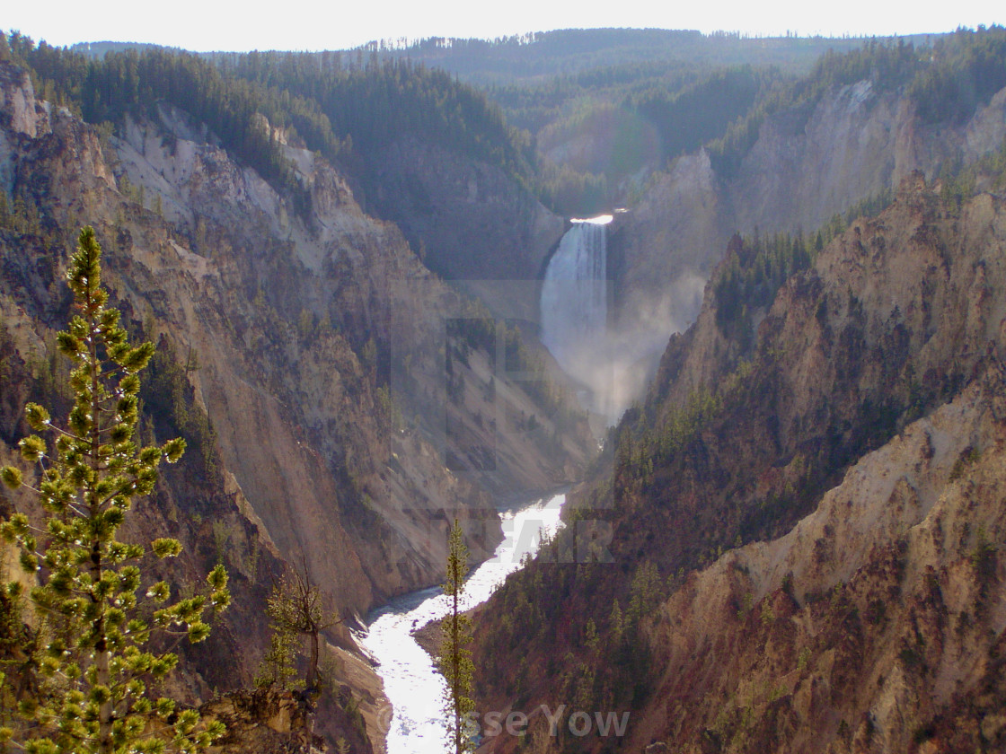 "Yellowstone Canyon" stock image