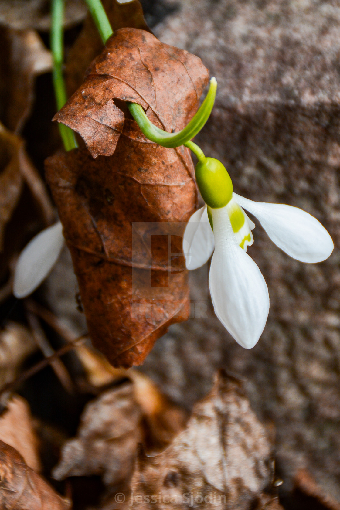 "Power" stock image