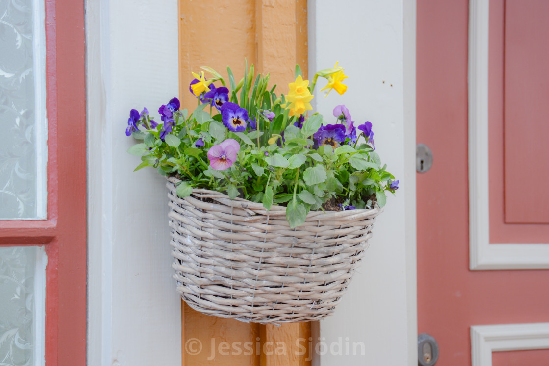 "Lovely pastel colors" stock image