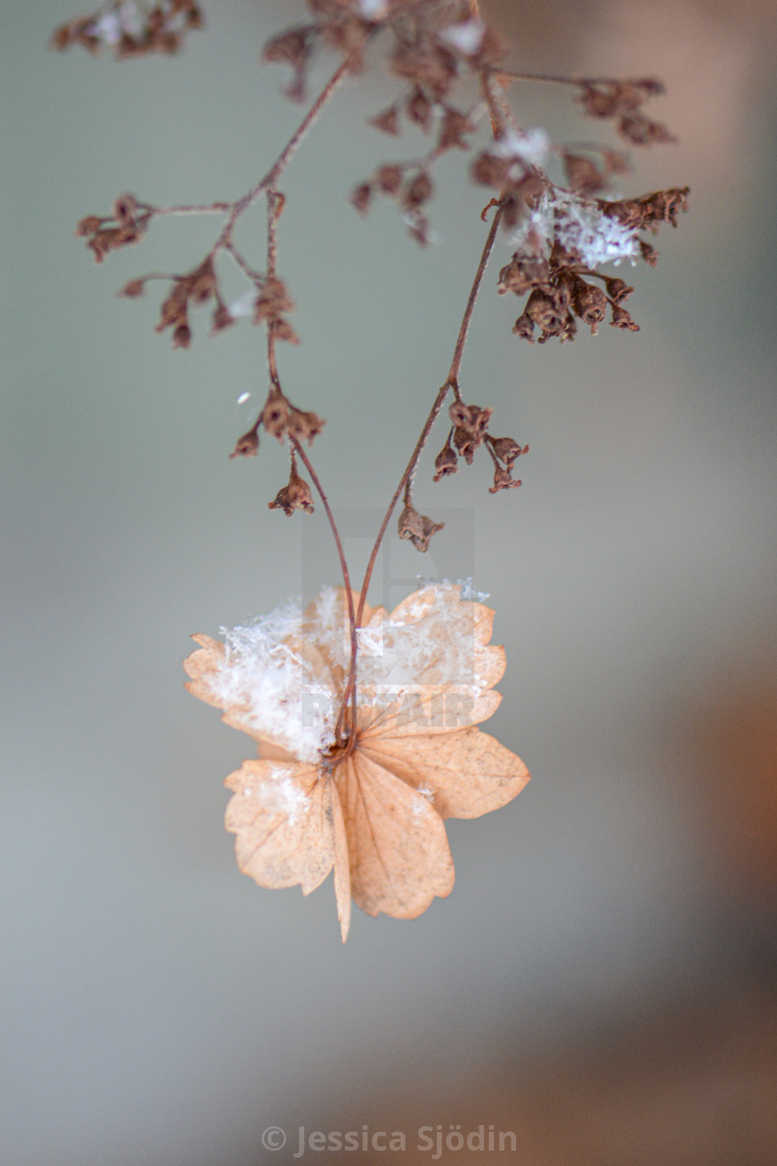 "Cold December" stock image