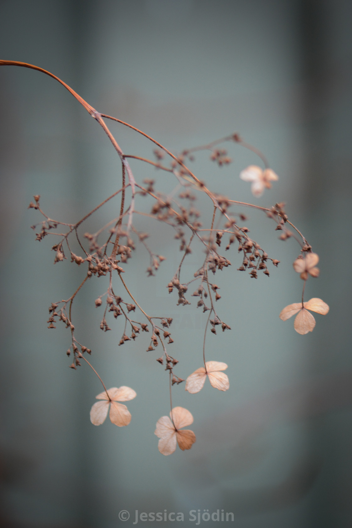 "Beauty of nature" stock image