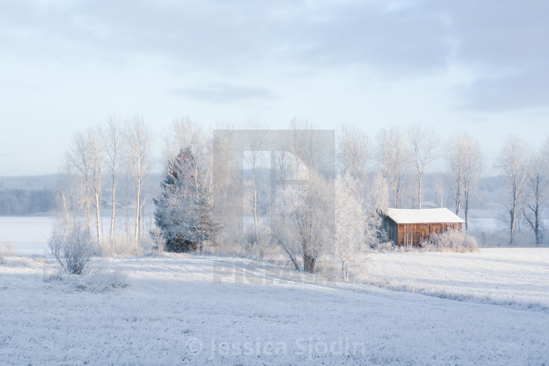 "Winter in the countryside" stock image