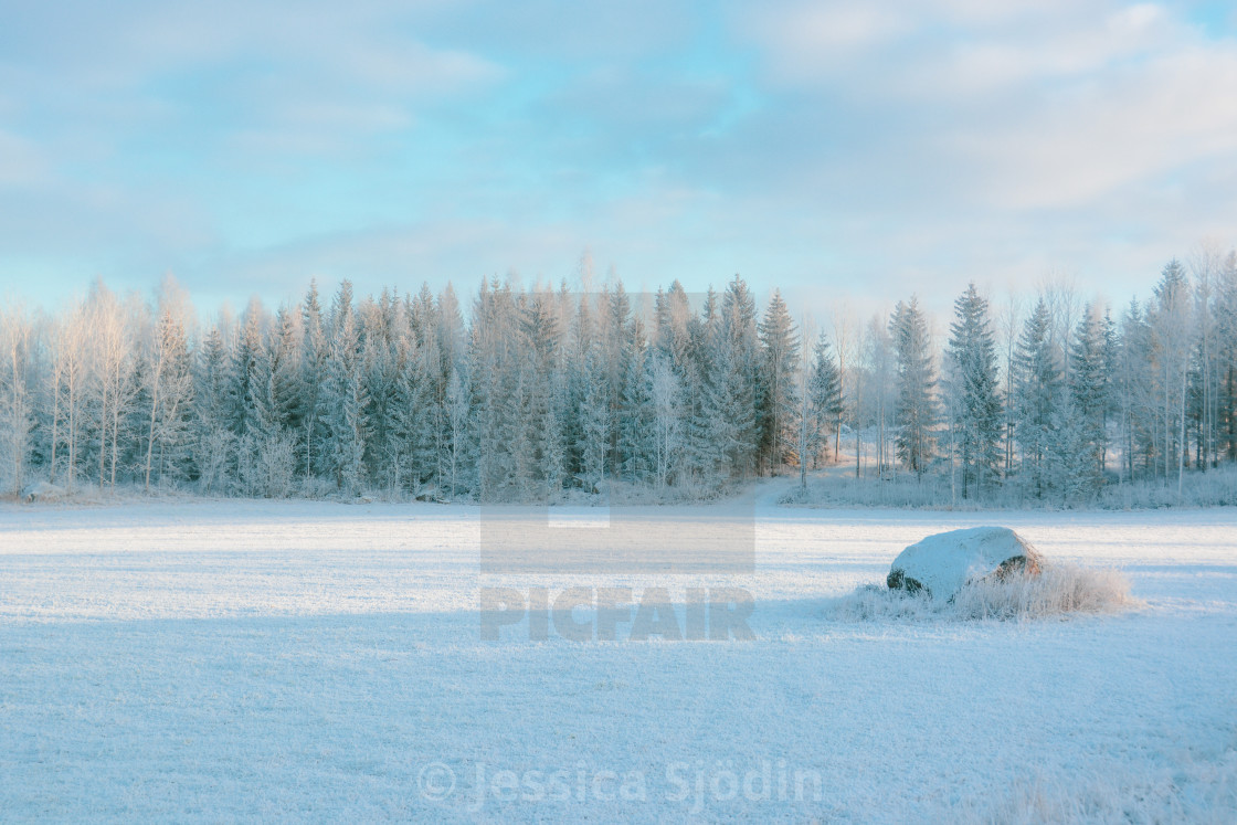 "Snowy landscape" stock image