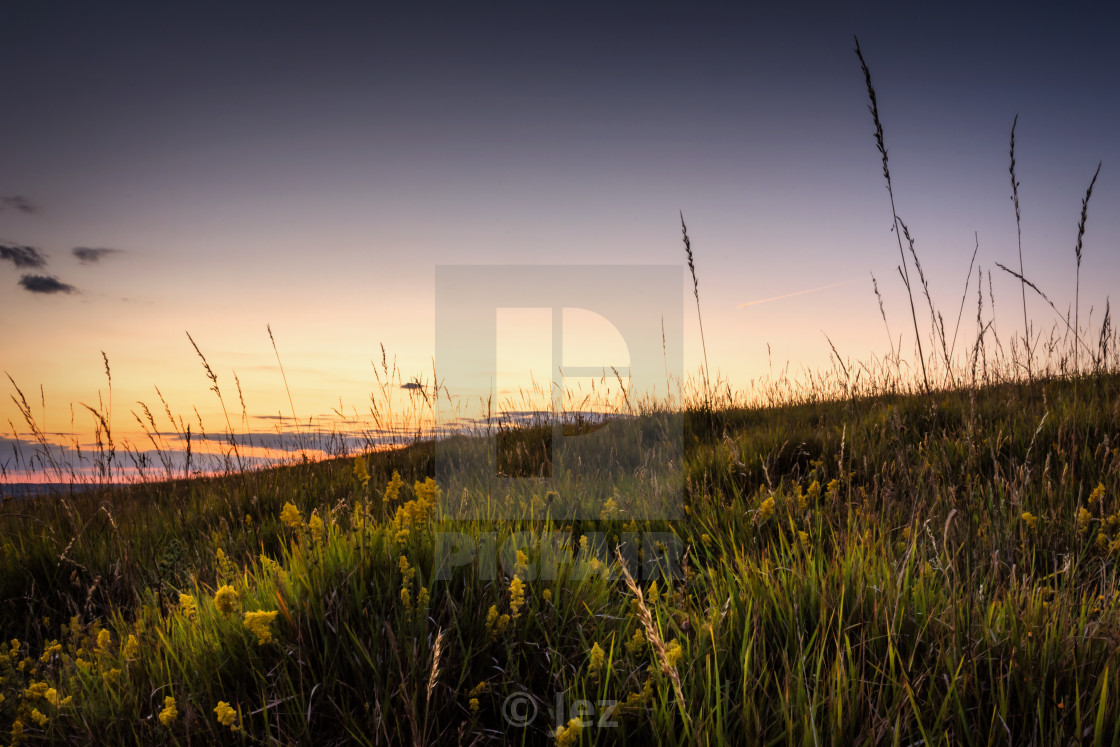 "Evening on the downs" stock image