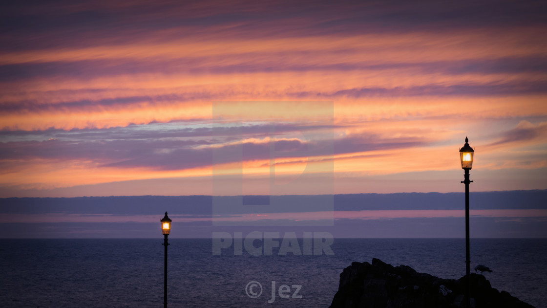 "The early bird" stock image