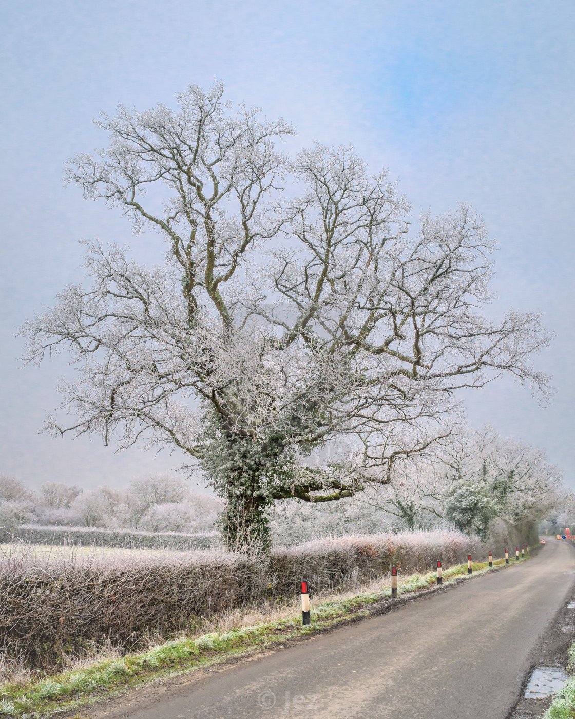 "A Country lane" stock image