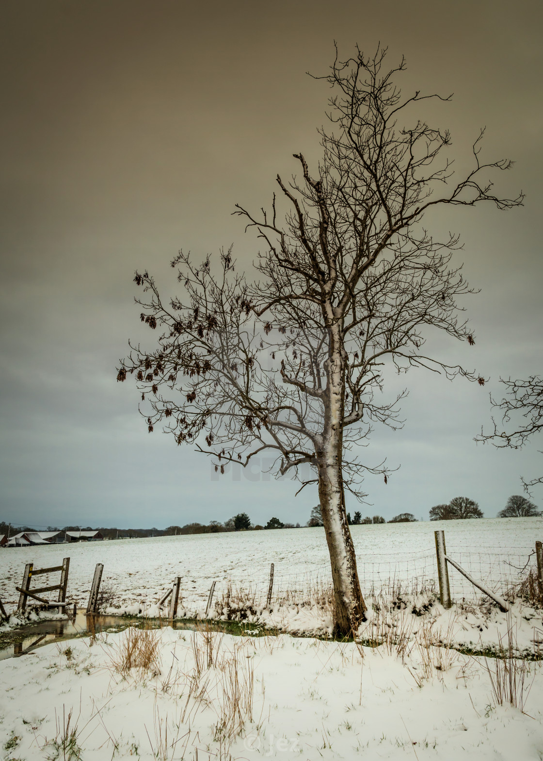 "Winter" stock image