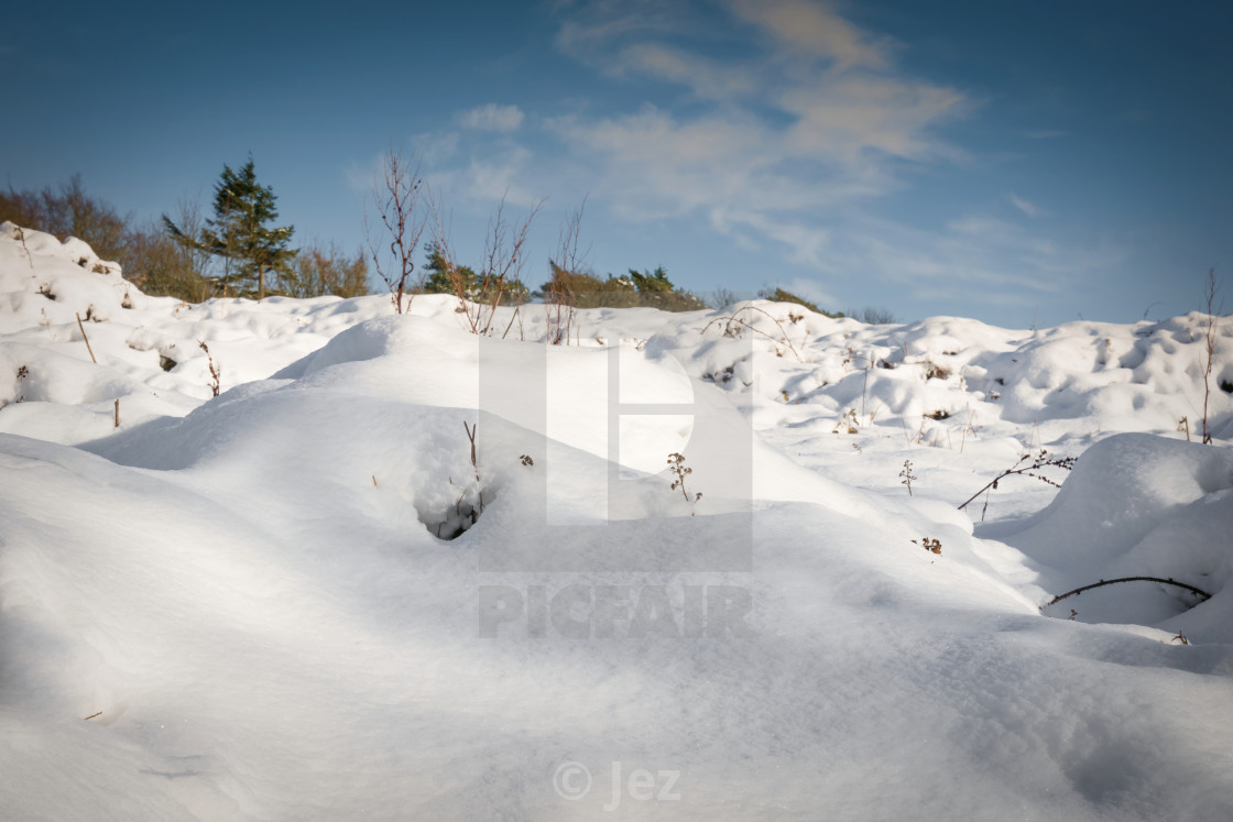 "Snow" stock image