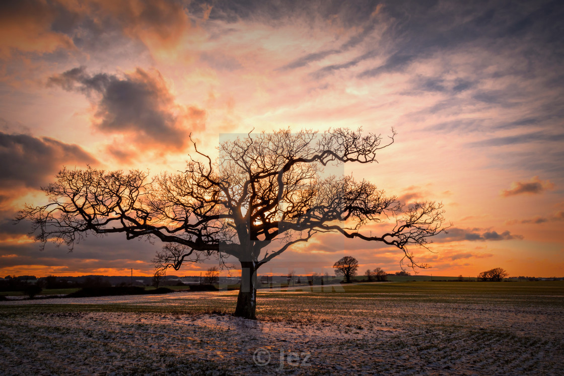 "Winter warmth" stock image