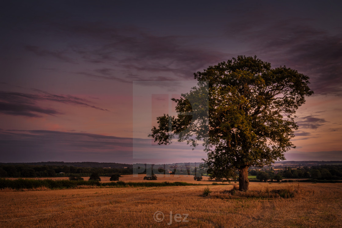 "Evening View" stock image